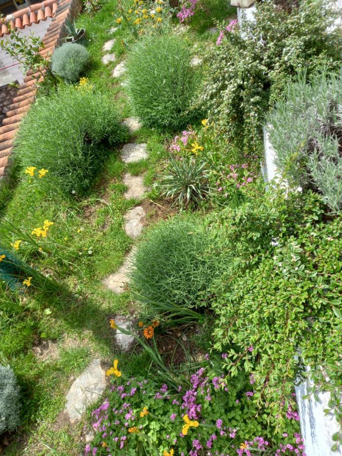 Apartmani Iris I Ana Crikvenica Luaran gambar